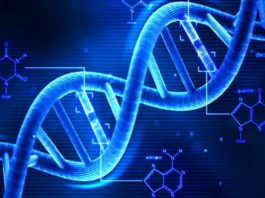 Gena preistorică din ADN-ul uman ar putea fi de vină în unele cazuri severe de COVID-19