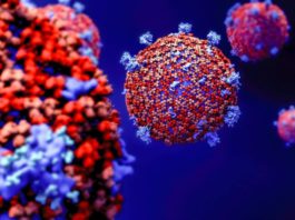 Die Welt: Gripă sau coronavirus? Cum vă veți putea da seama