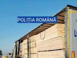 Transport ilegal de material lemnos în Osica de Sus