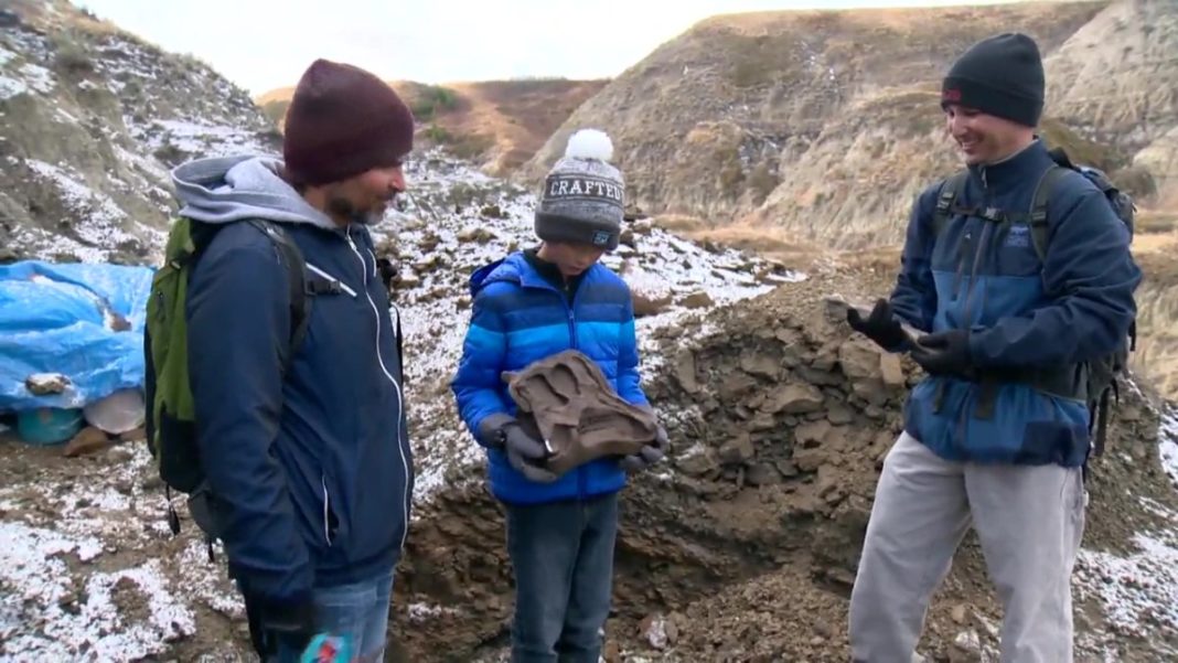 O fosilă veche de 69 de milioane de ani, descoperită de un adolescent canadian