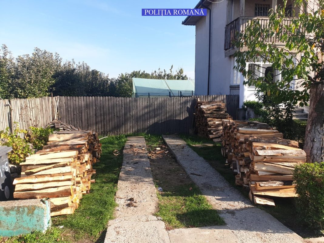 Doi bărbați din Berevoiești au fost sancționați contravențional pentru transport ilegal de material lemnos