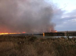 Incendiu în Delta Dunării/https://www.hotnews.ro/