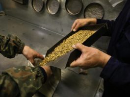 O companie rusă deţine cel mai mare zăcământ de aur din lume