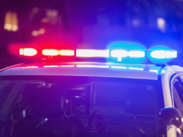 Şapte copii şi doi şoferi adulţi au murit într-o coliziune frontală violentă pe o porţiune rurală de autostradă din California