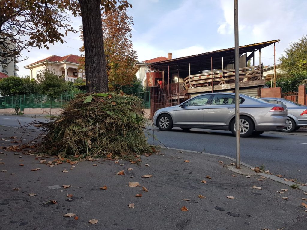 Craiovenii aruncă resturile vegetale la colțul străzii