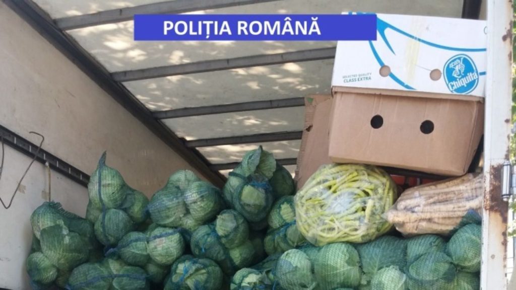 Gorj: Peste 3,5 tone de varză fără acte, confiscată de poliție