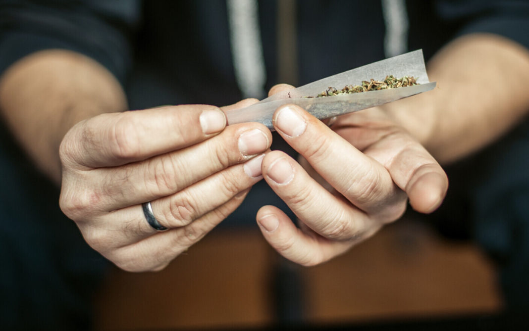 Premierul Macedoniei de Nord susține legalizarea marijuanei