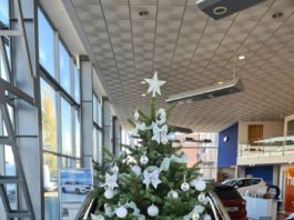 FordPlusauto oferă partenerilor săi Bradul de Crăciun frumos împodobit