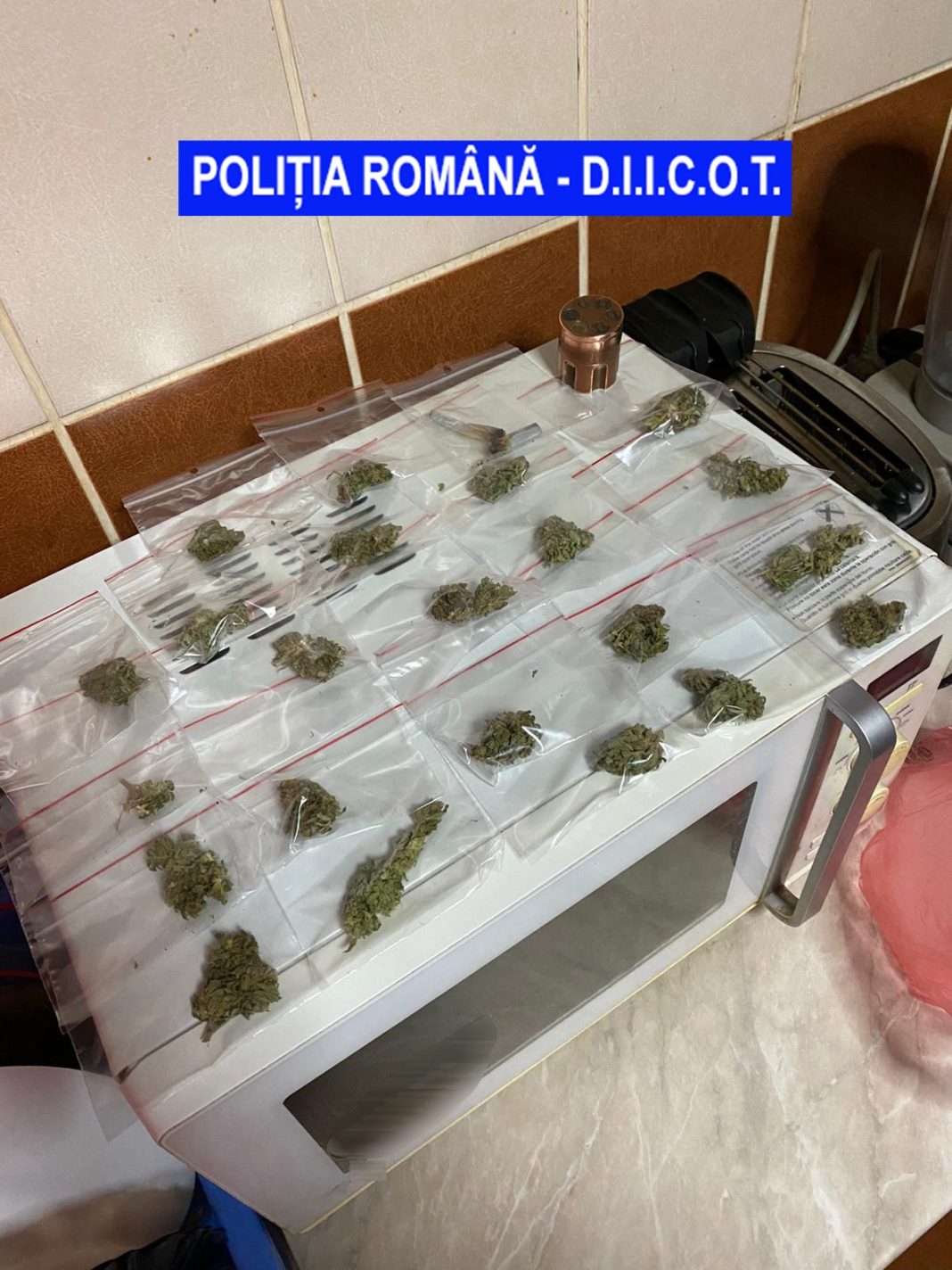 Polițiștii de combatere a criminalității organizate au efectuat, ieri, 12 percheziții domiciliare la persoane bănuite de trafic de droguri