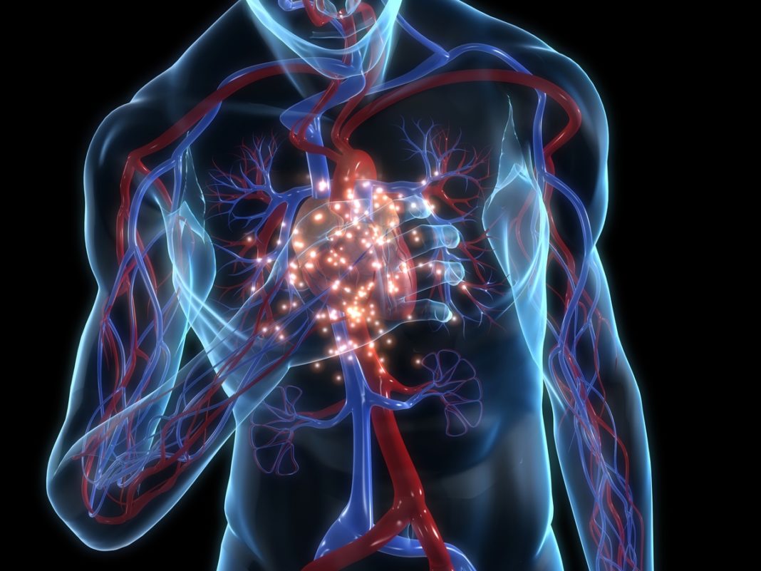 Heart Attack Bolile cardiovasculare continuă să ocupe locul întâi ca factori de risc de deces pentru pacienţii infectați cu Covid-19