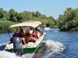 Excursiile scurte în Delta Dunării, cele mai dăunătoare pentru rezervație