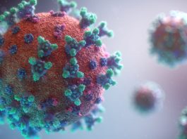 Coronavirus în lume: Bilanțul global se apropie de pragul de 47 de milioane de cazuri