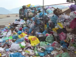 De două luni gunoaiele nu au ridicate de pe străzile din Orșova