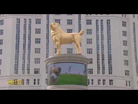 Președintele Turkmenistanului a dezvelit o statuie uriașă poleită cu aur a unui câine