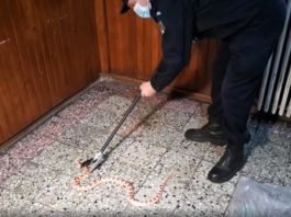 VIDEO: Șarpe exotic, prins de jandarmi într-o scară de bloc, la Timișoara