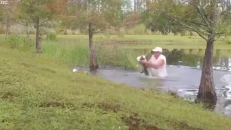 Un pensionar din Florida și-a salvat cățelușul din fălcile unui aligator