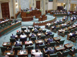 Inițiativa "Fără penali" rămâne blocată în Senat. Ședința de vot a fost suspendată din lipsă de cvorum