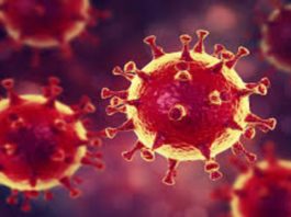 Marea Britanie a identificat o altă nouă variantă de coronavirus, adusă din Africa de Sud