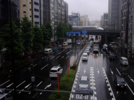 Japonia vrea să interzică vânzarea mașinilor noi pe benzină sau motorină peste 15 ani