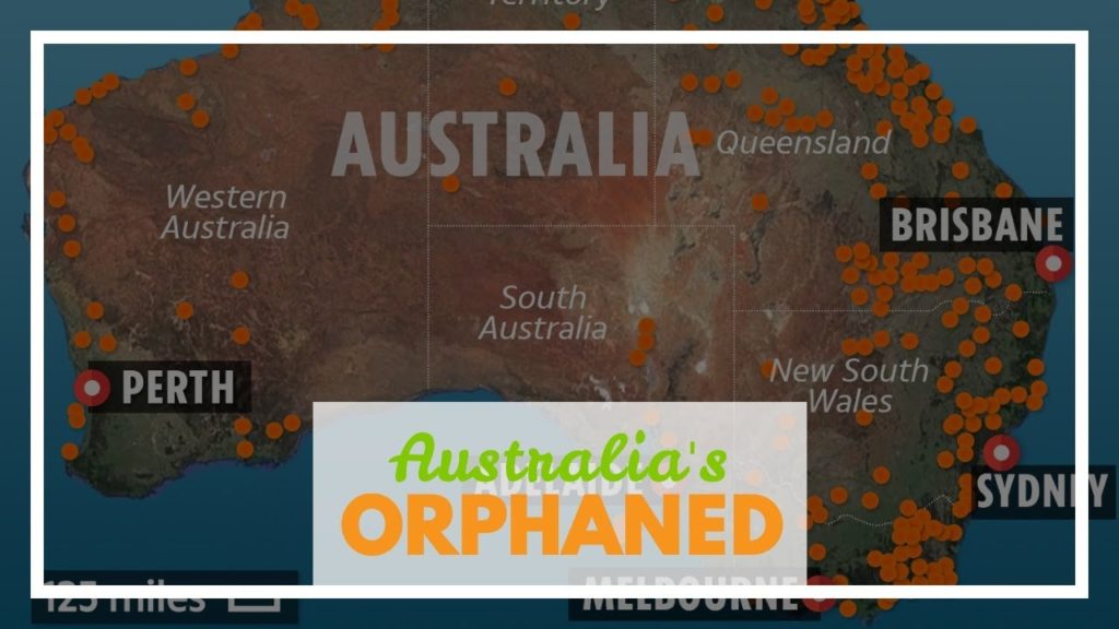 Peste 60.000 de koala uciși sau răniți în incendiile din Australia