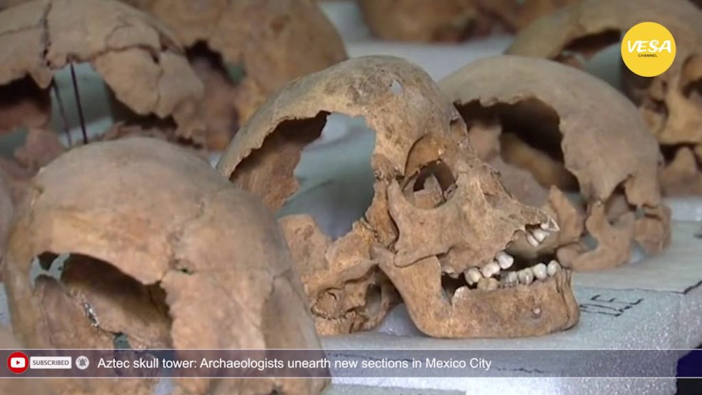 Peste 100 de cranii, despoterite pe situl aztec din Mexico City