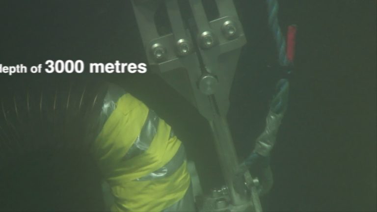 Noi specii descoperite în adevărate „oraşe” de pe fundul Oceanului Atlantic