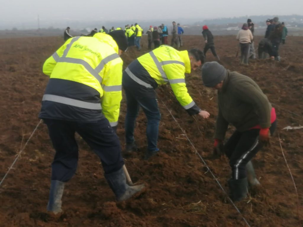 Angajați ai CAO vor împăduri 5 hectare de terene în localitatea Breasta
