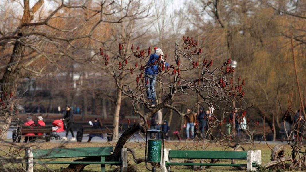 Noul an va avea temperaturi mai mari decât cele normale pentru această perioadă și precipitațiile vor fi puține.