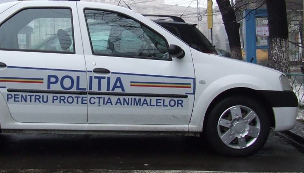 Gorj: 73 de candidați pentru cele șase posturi de la Poliția Animalelor