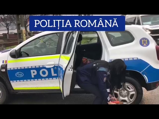 Gorj: Aproape 1.800 de articole pirotehnice confiscate de la un tânăr de 19 ani