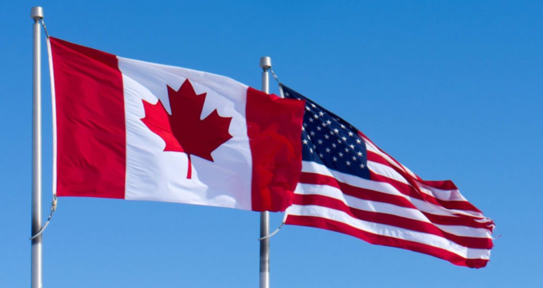 Parlamentare 2020: A început votarea și în secțiile din SUA și Canada