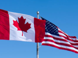 Parlamentare 2020: A început votarea și în secțiile din SUA și Canada
