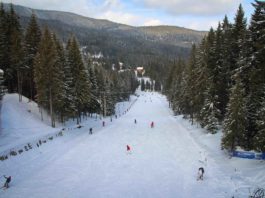 Harghita: Peste 100 de accidente pe pârtii de la începutul sezonului de schi