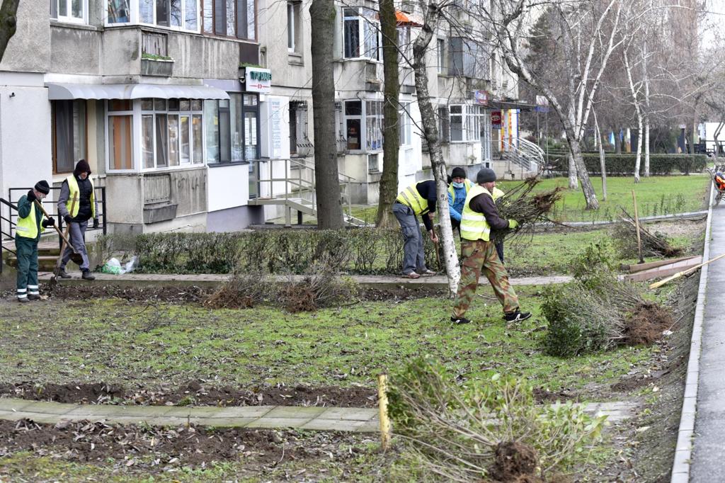 Calea București