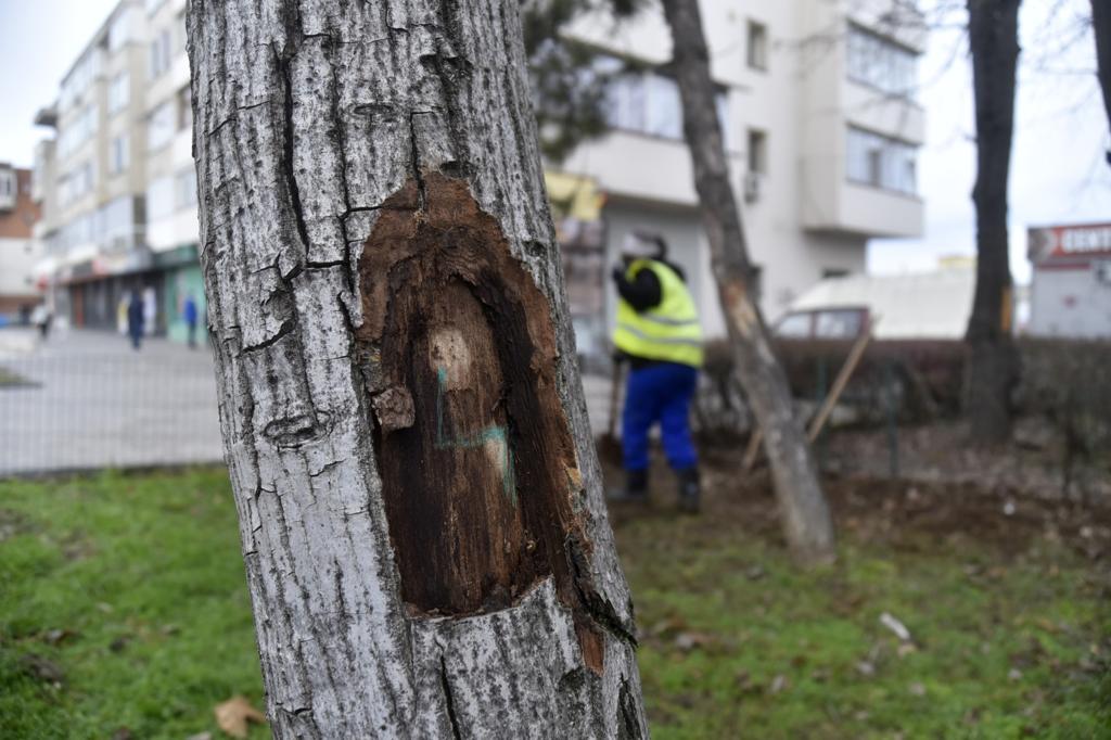 Calea București intră în reabilitare. Află ce presupune proiectul de regenerare a bulevardului