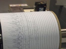 Japonia: Cutremur cu magnitudinea 5,3 în largul prefecturii Mie