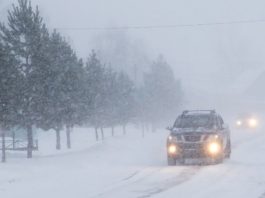 Mii de consumatori din Prahova nu au curent din cauza zăpezilor abundente