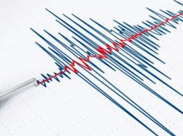 Cutremur cu magnitudinea 3,1 în judeţul Vrancea, în această dimineaţa
