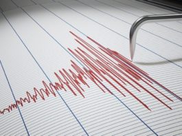 Cutremur cu magnitudinea de 3,6 în judeţul Buzău, în prag de An Nou