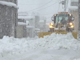 O puternică furtună de zăpadă a afectat Japonia