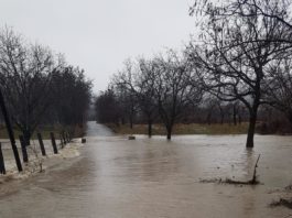 Inundațiile au afectat 15 locali tăți