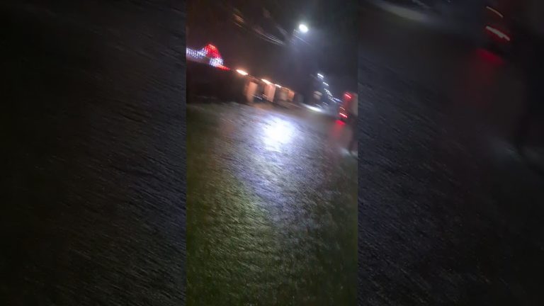 Târgu Jiu: Pompierii intervin pentru salvarea a 150 de oi surprinse de o viitură