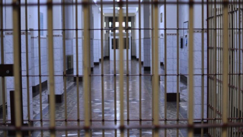 Trei ani de puşcărie pentru un bărbat care a spânzurat doi câini