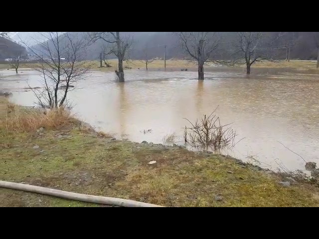 Zeci de gospodării inundate în Vâlcea