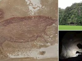 Cea mai veche pictură rupestră, având cel puţin 45.500 de ani, a fost descoperită într-o peşteră din Indonezia