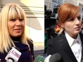 Elena Udrea și Ioana Băsescu ajung din nou în faţa instanţei