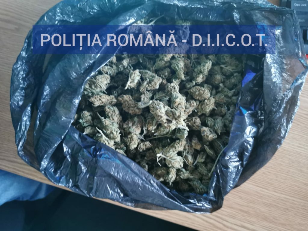 Șapte persoane, arestate pentru trafic de canabis