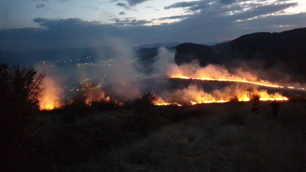 Mehedinți: Incendiu de vegetație uscată în Orșova