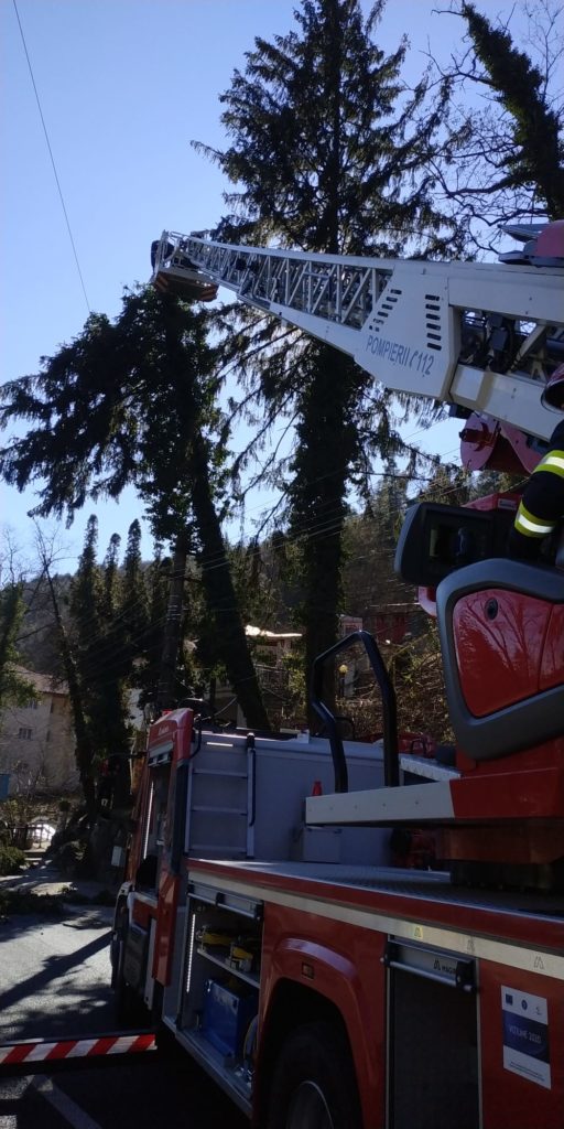 Traficul pe DN7, blocat din cauza unui copac căzut