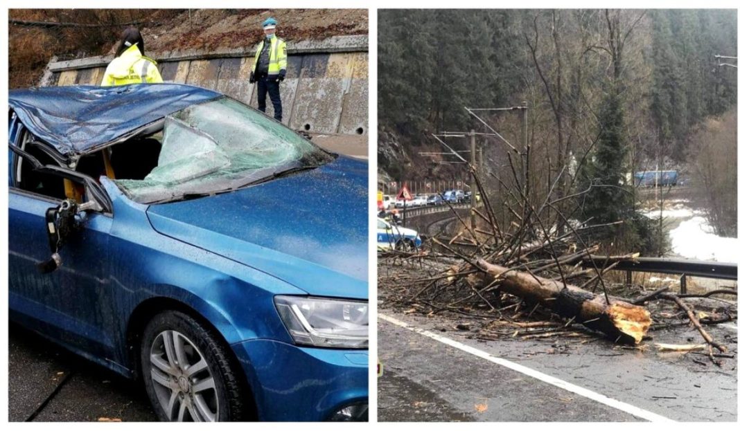 O femeie a murit după ce un copac a căzut pe mașina în care se afla cu familia (sursa foto: cancan.ro)